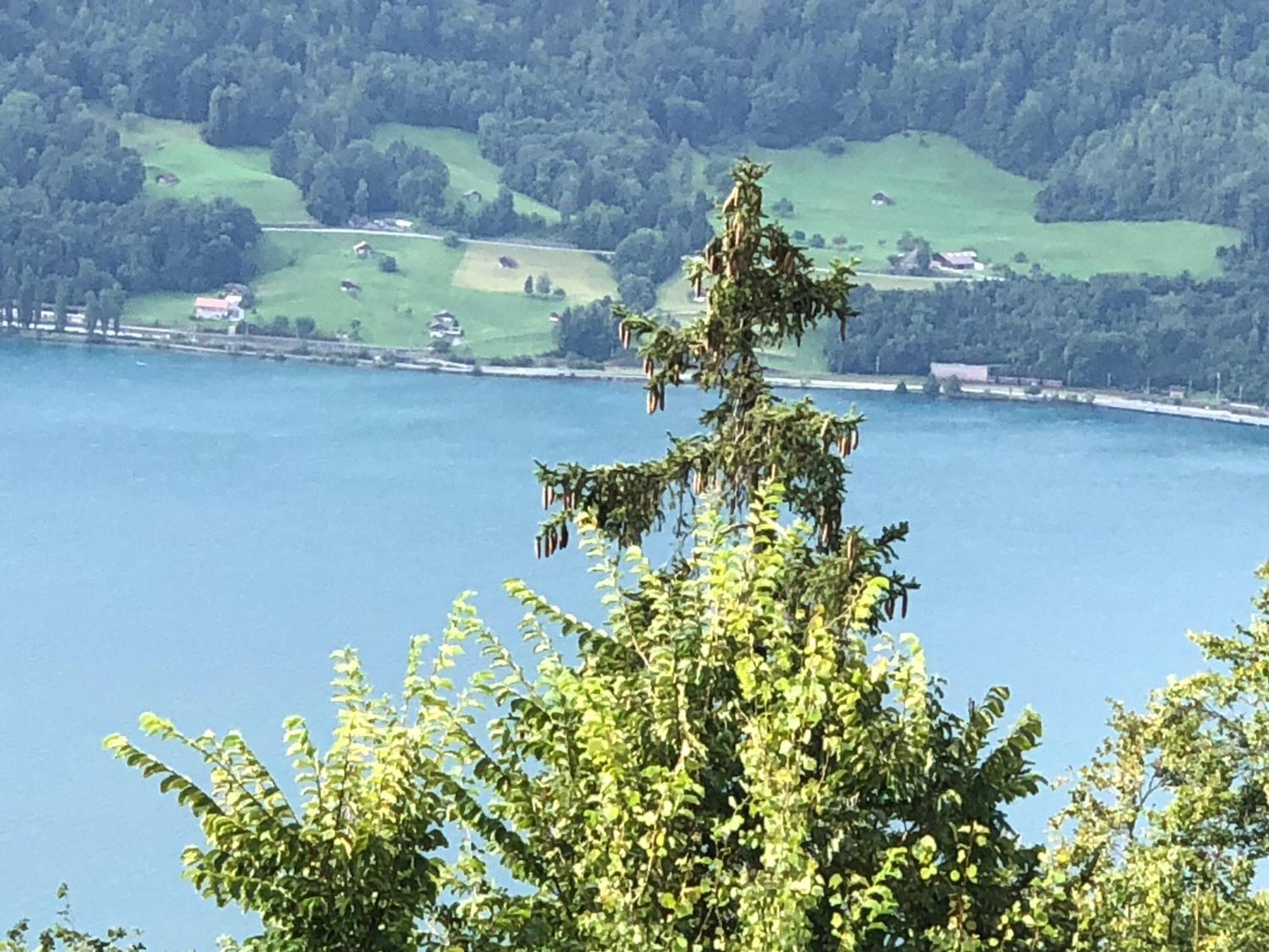 Wohnung Mit See Und Bergsicht Im Vier Sterne Hotel Beatenberg Exterior photo